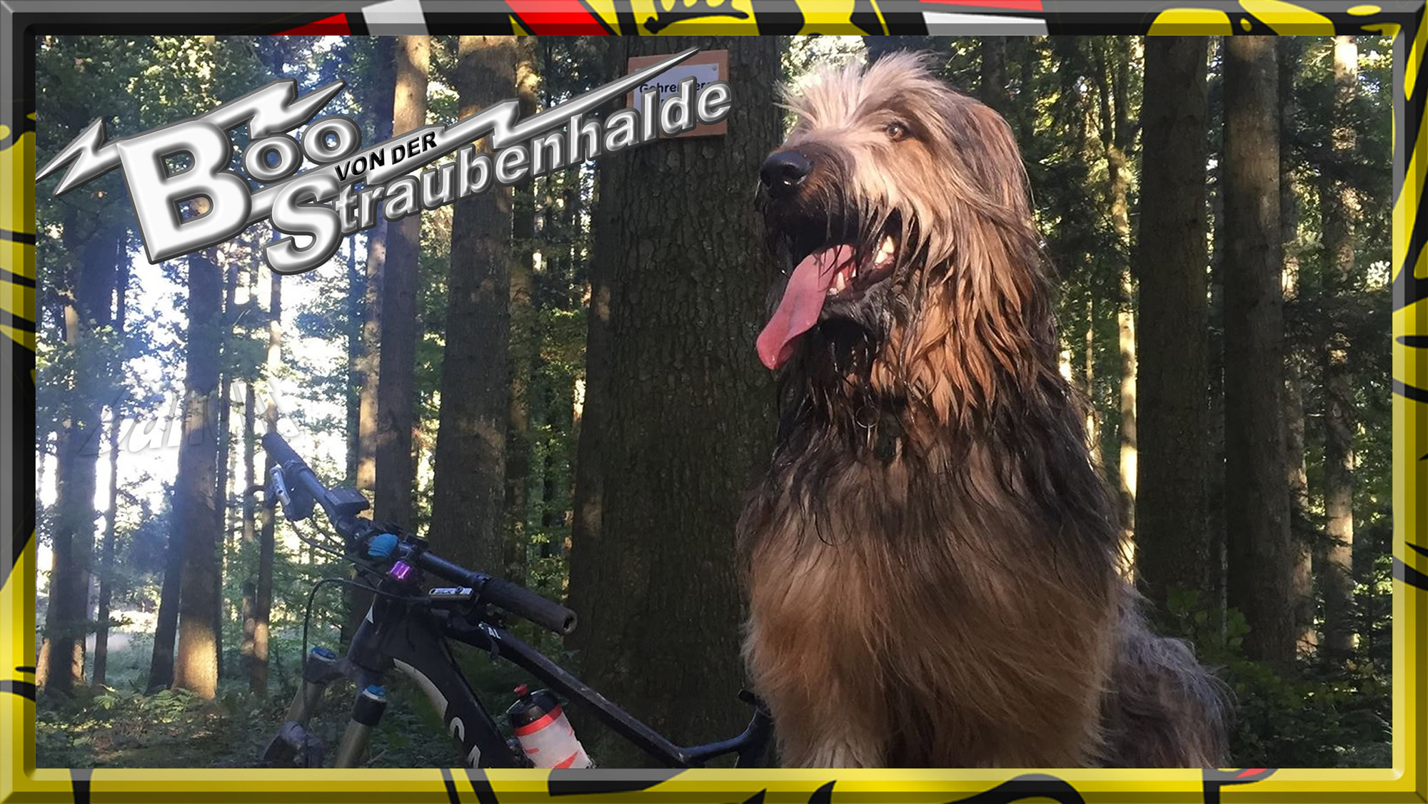 Wäller von der Straubenhalde